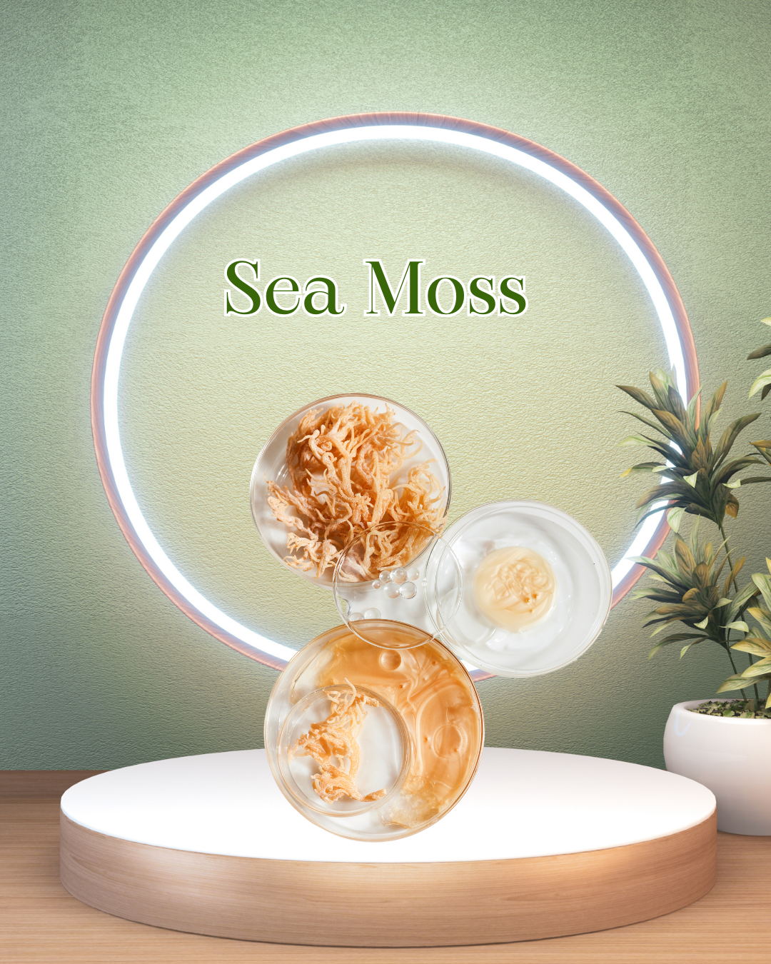 Scalp Aid Relief Elixir